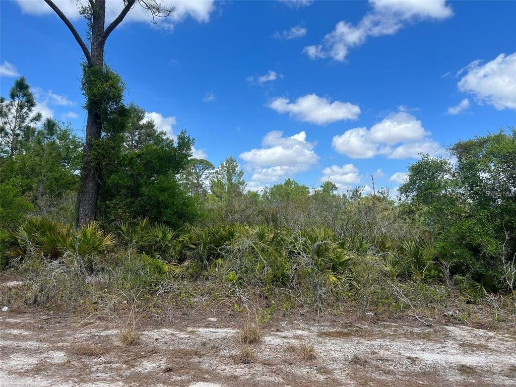 331 TANAGER AVENUE, SEBRING, FL — photo 2 of 3