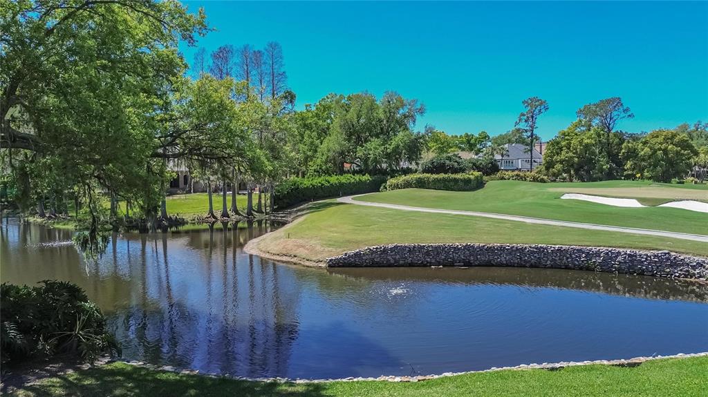 A view of a golf course green and sand trap beside a pond and trees — 1043 GUISANDO DE AVILA, TAMPA, FL