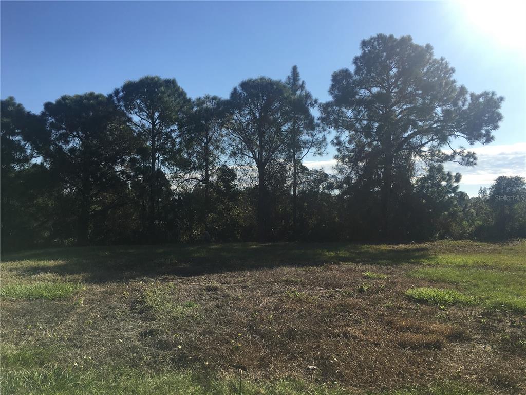 A grassy, cleared lot features a line of tall pine trees against a bright sky — 170 TOURNAMENT ROAD, ROTONDA WEST, FL