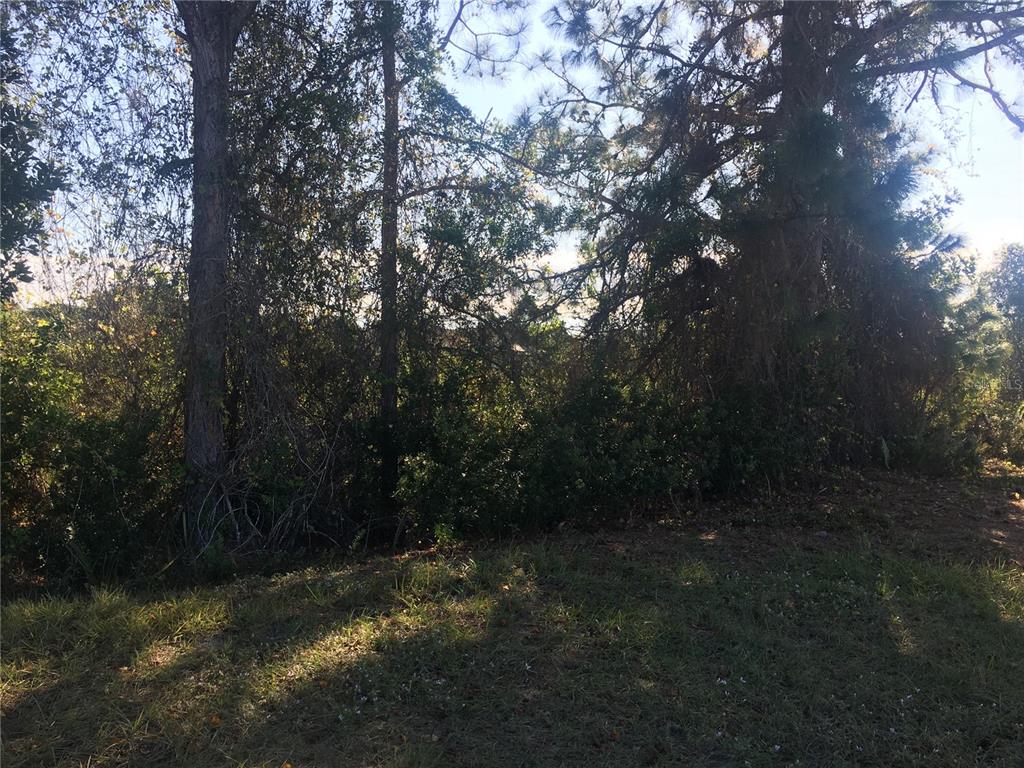 A view of a grassy area leading to a dense line of trees and shrubs — 170 TOURNAMENT ROAD, ROTONDA WEST, FL
