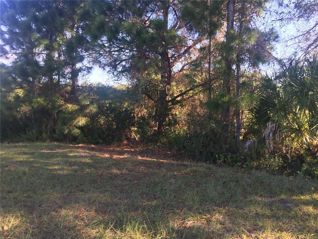 A grassy lot features a dense line of pine trees and palmettos in the background — 170 TOURNAMENT ROAD, ROTONDA WEST, FL