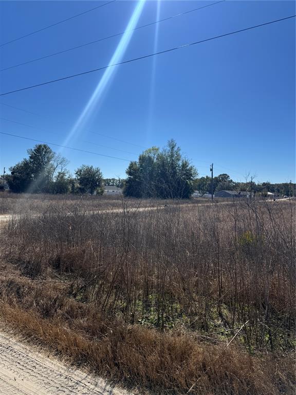 A dirt road runs alongside a large, undeveloped grassy field under a clear blue sky — TBD SW 150TH COURT, OCALA, FL