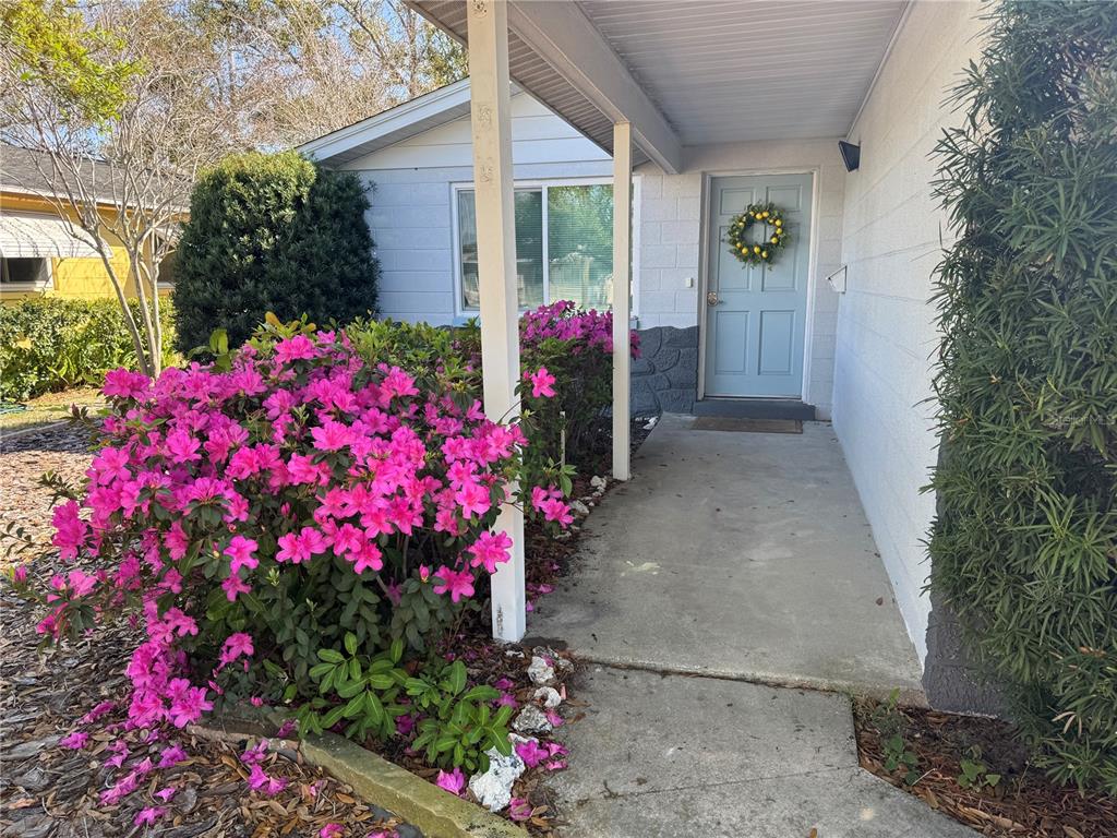 A light blue front door with a wreath sits under a porch beside blooming azaleas — 6550 3RD AVENUE S, ST PETERSBURG, FL