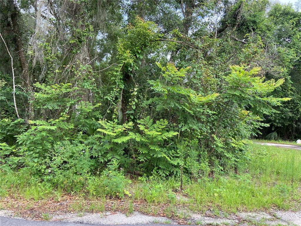 WILSON AVENUE, DELAND, FL — photo 2 of 3