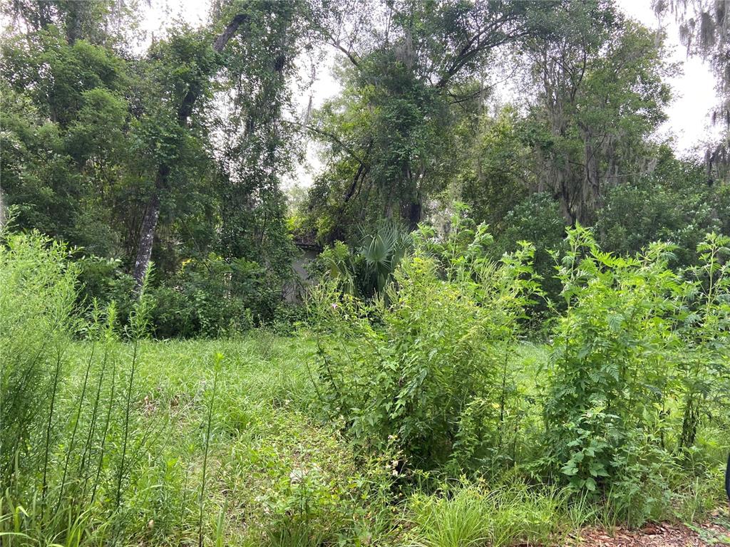 WILSON AVENUE, DELAND, FL — photo 3 of 3