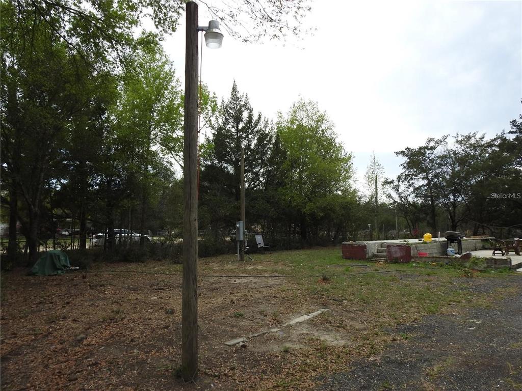A wooden utility pole with a light fixture stands in a grassy, wooded yard — 103 GEORGE DRIVE, INTERLACHEN, FL