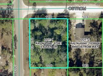 This is an aerial map showing two adjacent lots with their dimensions and property information — 8092 ALLEN DRIVE, WEEKI WACHEE, FL