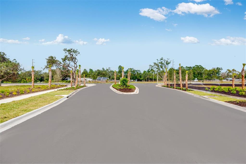A paved road leads to a landscaped median with palm trees under a blue sky — 13667 TROPICAL BREEZE WAY, HUDSON, FL