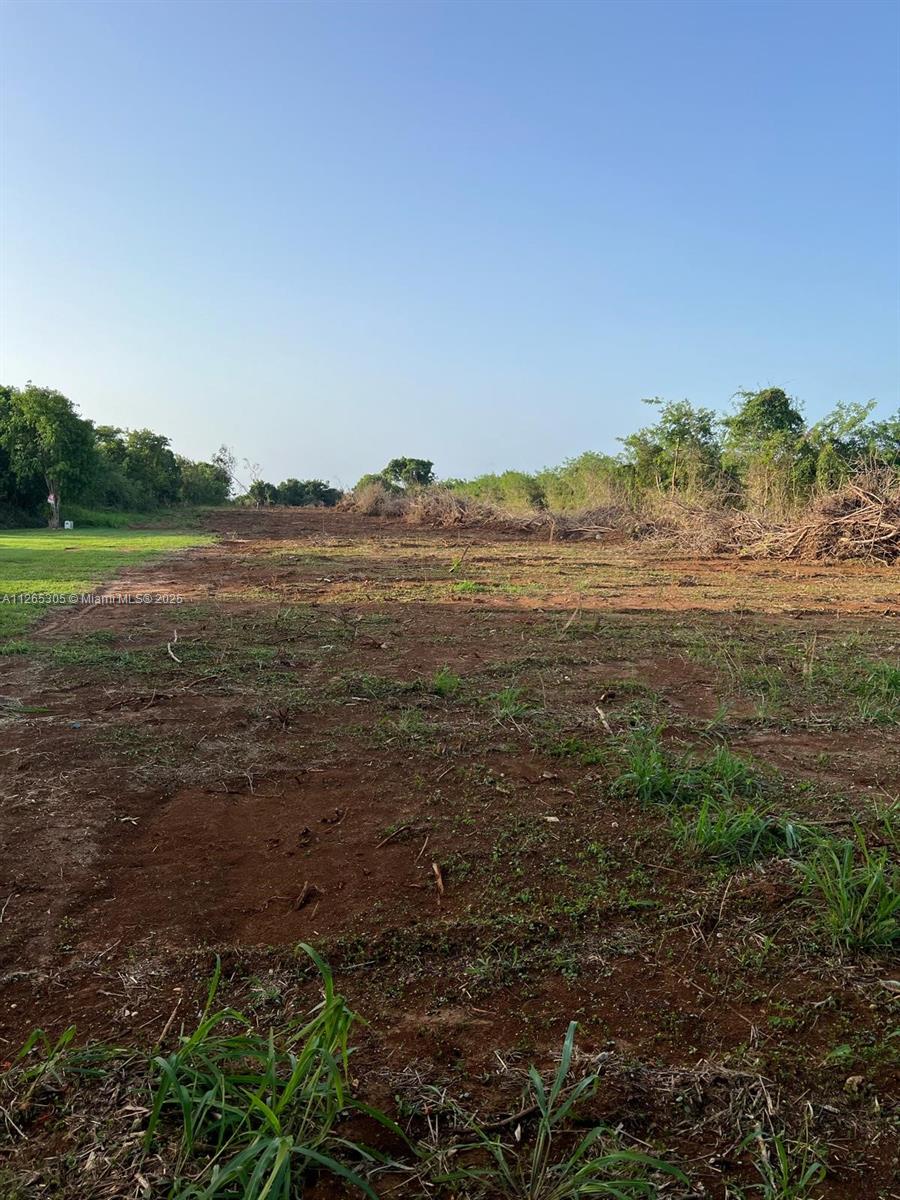 A cleared, dirt-covered lot with patches of grass and surrounding trees under a clear sky — CARR 110 KM.HM 9.9 NW OCEAN VIEW 2794 SM, PR 00603, PR