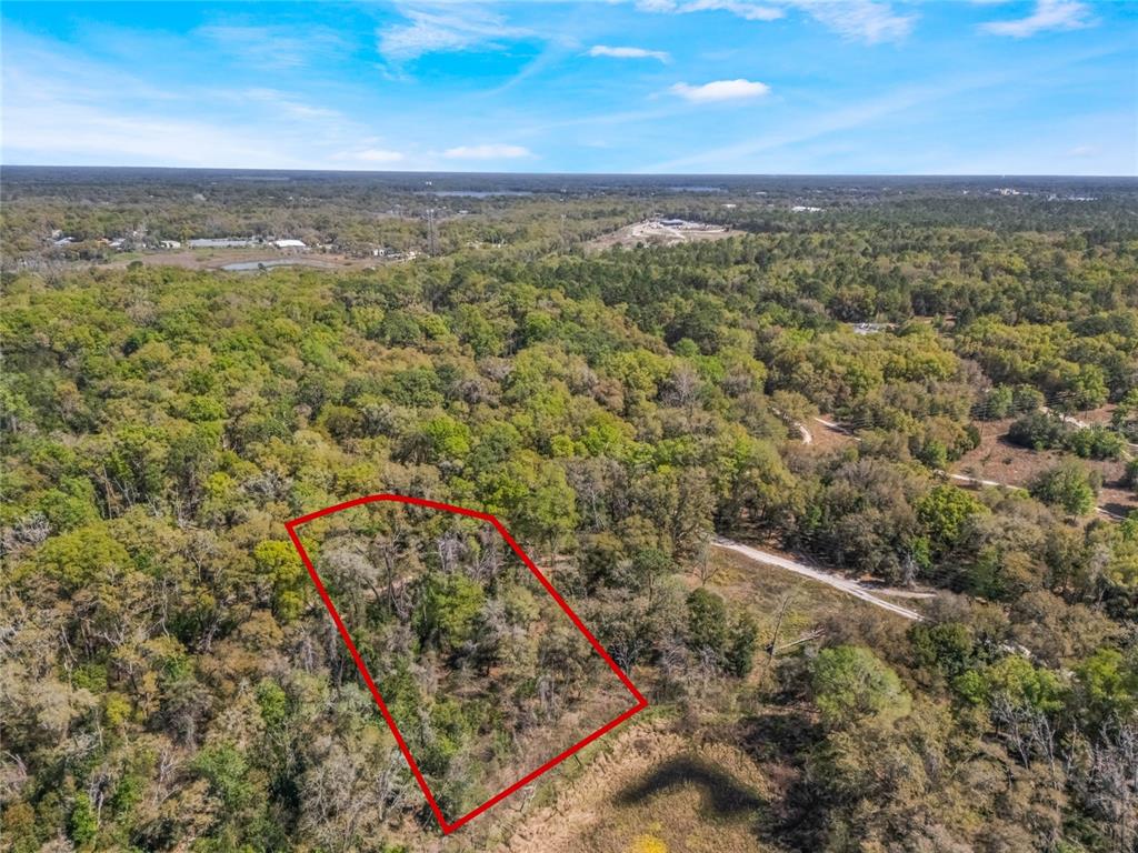 An aerial view shows a wooded plot of land outlined in red — 2208 EISENHOWER STREET, INVERNESS, FL