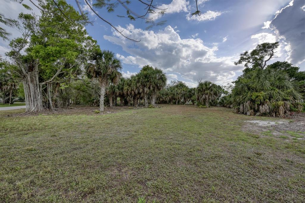 A grassy, undeveloped lot features scattered palm trees and a large banyan tree — 3015 BANYAN WAY, PUNTA GORDA, FL