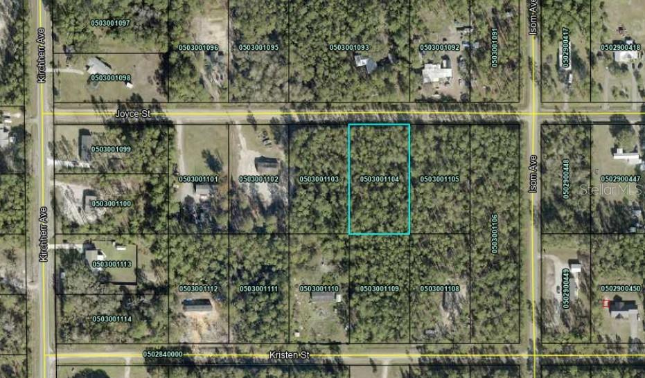 This is an aerial map view showing a highlighted rectangular plot of land — 4425 JOYCE STREET, HASTINGS, FL