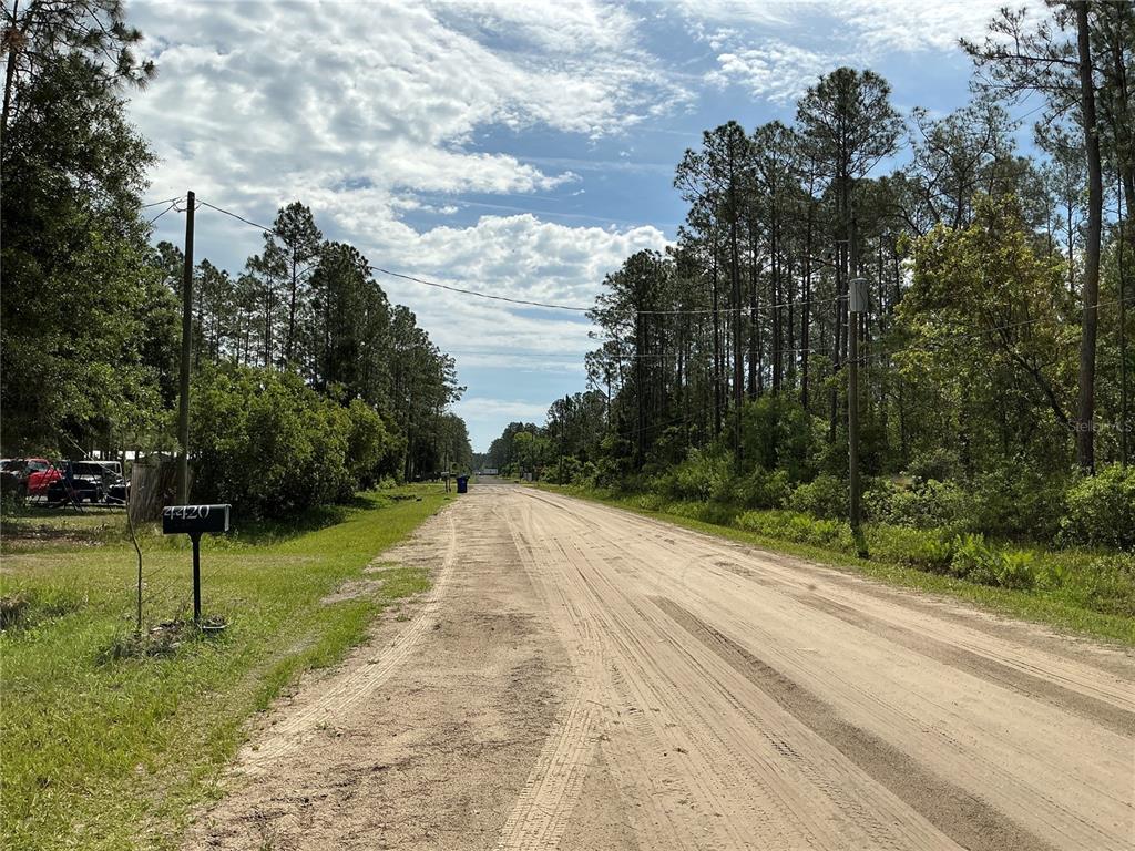 A dirt road stretches between wooded areas with a mailbox in the foreground — 4425 JOYCE STREET, HASTINGS, FL