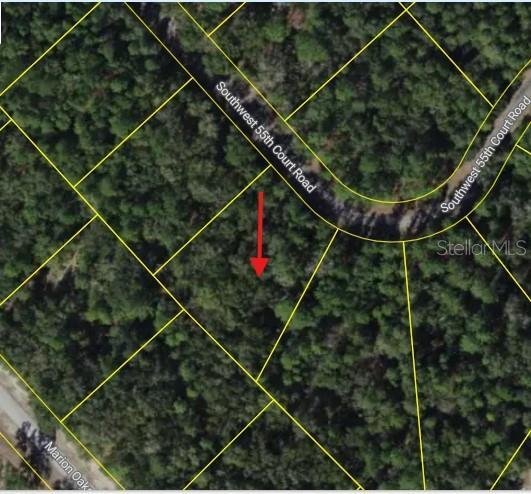 An aerial map view shows a vacant, wooded lot outlined in yellow with a red arrow — 0 SW 55TH COURT ROAD, OCALA, FL