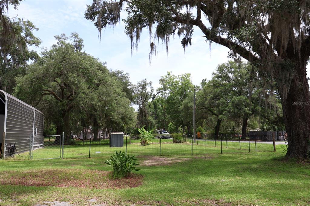 A fenced grassy backyard features large oak trees with Spanish moss and a metal shed — 9028 WEST STREET, BROOKSVILLE, FL