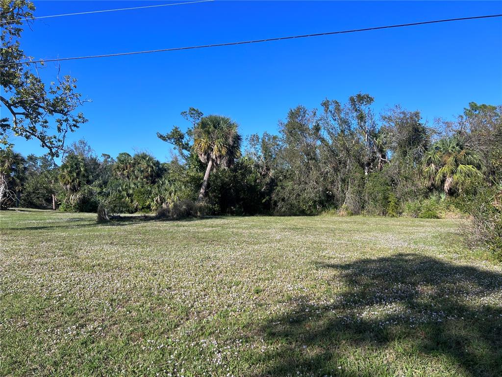A grassy, open lot is bordered by a dense line of trees and palm trees — 16819 ACAPULCO ROAD, PUNTA GORDA, FL