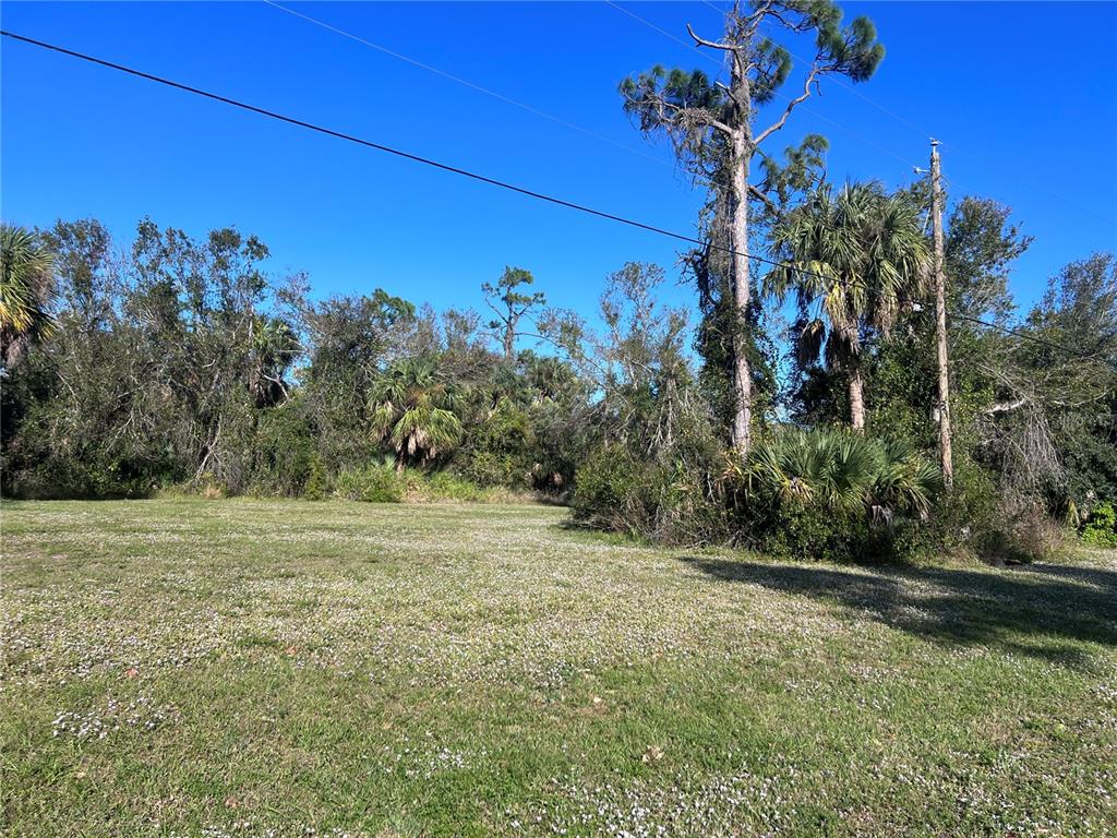 A grassy, open lot is bordered by dense trees and a utility pole — 16819 ACAPULCO ROAD, PUNTA GORDA, FL