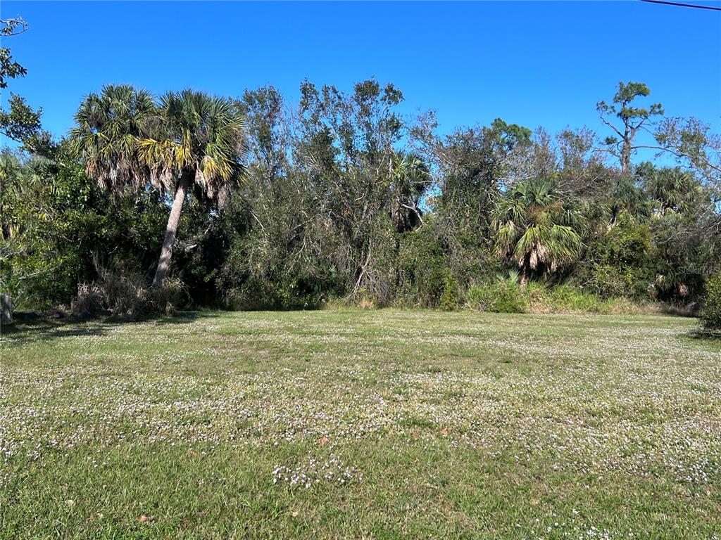 A grassy, flower-covered vacant lot is bordered by dense trees and palm trees — 16819 ACAPULCO ROAD, PUNTA GORDA, FL