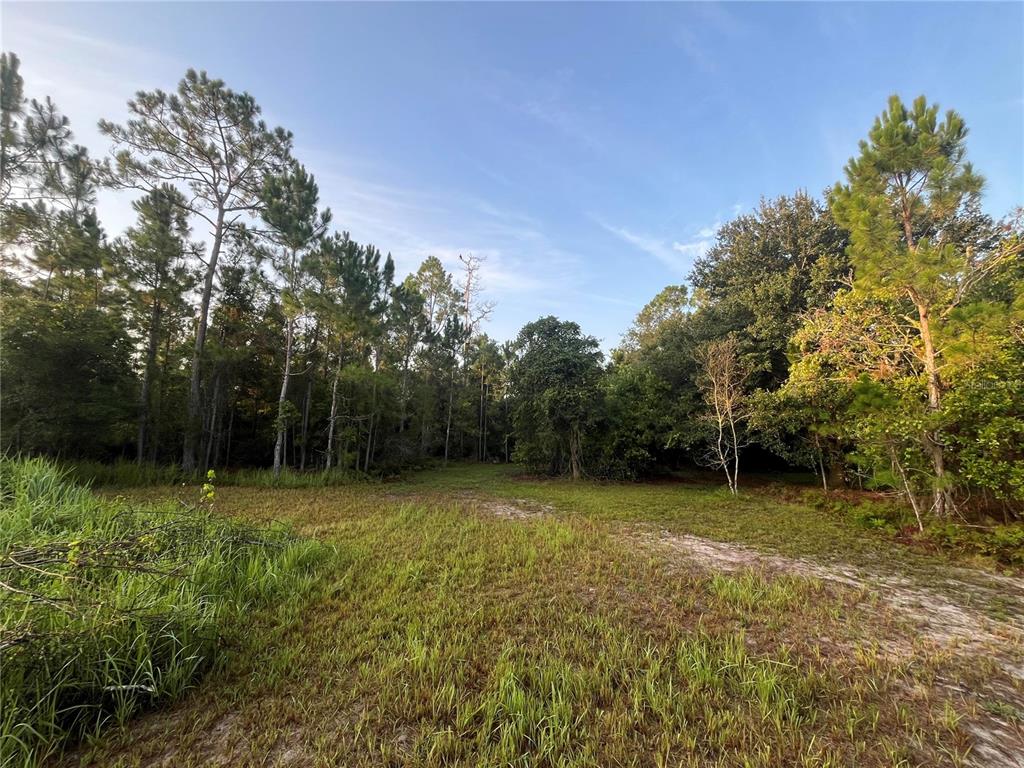 32801 441 HIGHWAY N UNIT 287, OKEECHOBEE, FL — photo 4 of 8