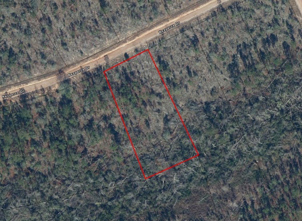An aerial view shows a rectangular plot of land outlined in red along a dirt road — 0 Nezperce Drive, FL 32420, FL