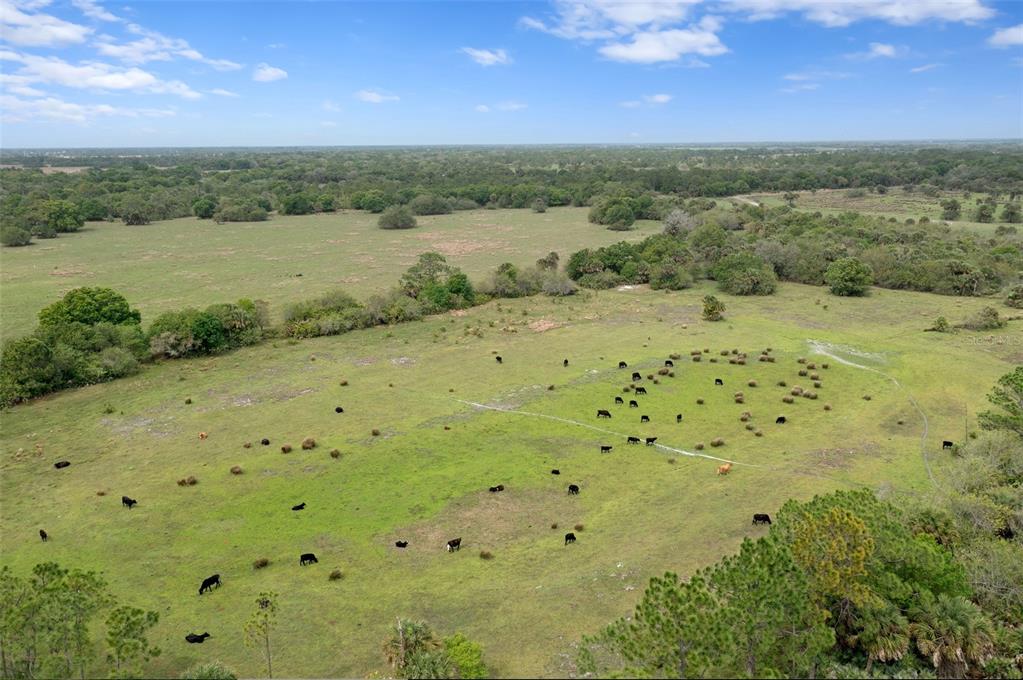 NW 74TH TERRACE, OKEECHOBEE, FL — photo 4 of 16