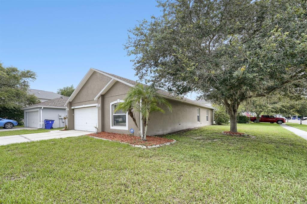 A single-story tan house with a garage, a palm tree, and a large oak tree — 17037 HOLMBY COURT, LAND O LAKES, FL