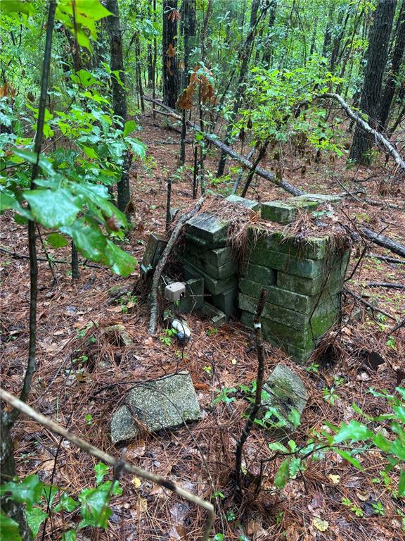 A stack of concrete blocks sits on the forest floor among pine needles and trees — 14220 NW 182ND LANE, WILLISTON, FL