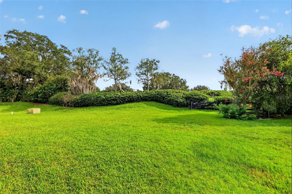 A grassy lawn leads to a hedge line with trees and a small wooden fence — 1557 OAK FOREST DRIVE, THE VILLAGES, FL