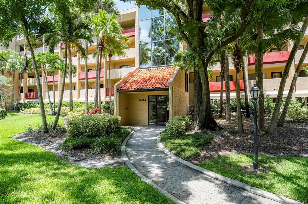 A concrete walkway leads to the entrance of a multi-story apartment building with palm trees — 3062 EASTLAND BOULEVARD UNIT 406, CLEARWATER, FL
