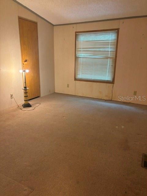 An empty bedroom features beige carpet, a single window with blinds, and a wooden door — 6594 N GOLD LEAF POINT, DUNNELLON, FL