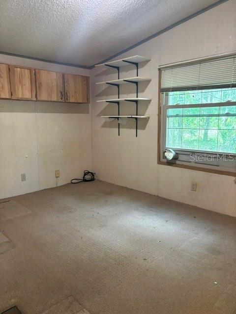 A room with wood cabinets, wall-mounted shelves, a window, and carpeted flooring — 6594 N GOLD LEAF POINT, DUNNELLON, FL