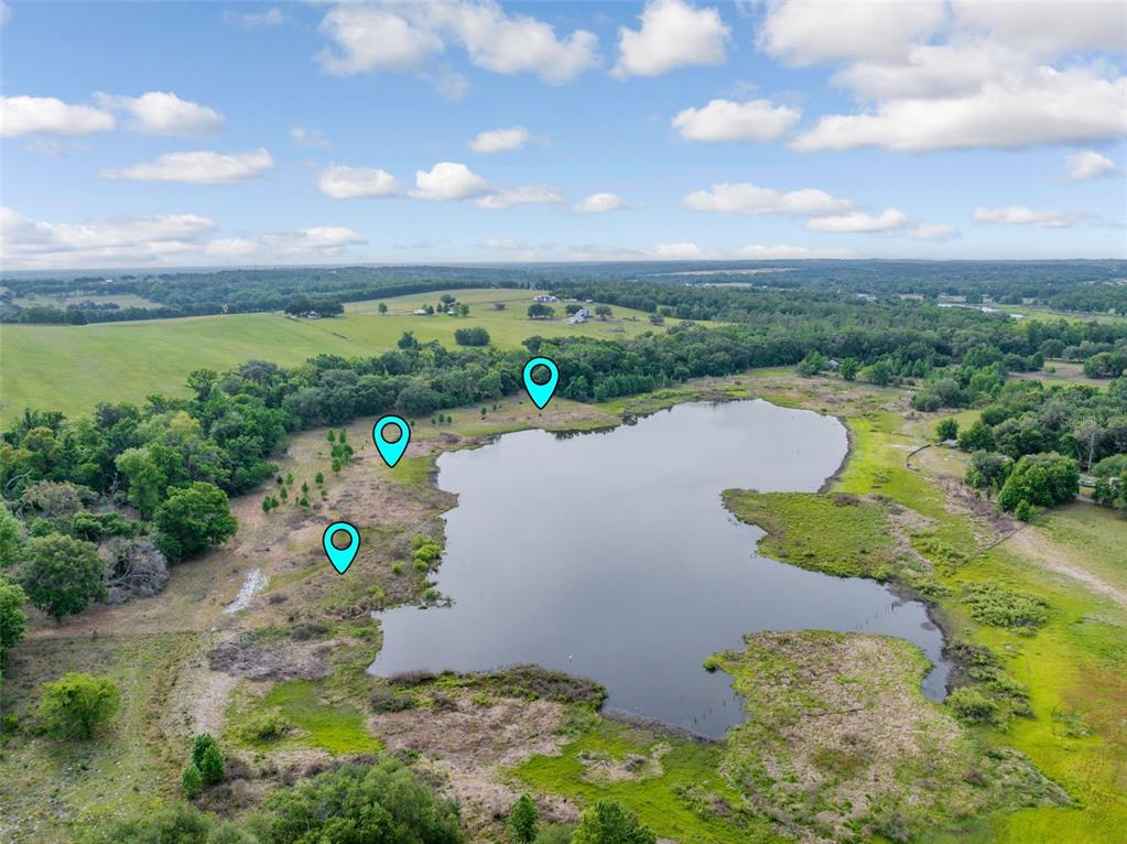 An aerial view shows a pond surrounded by grassy fields and trees with three location markers — 0 19-24-21-0000-00600-0010, DADE CITY, FL