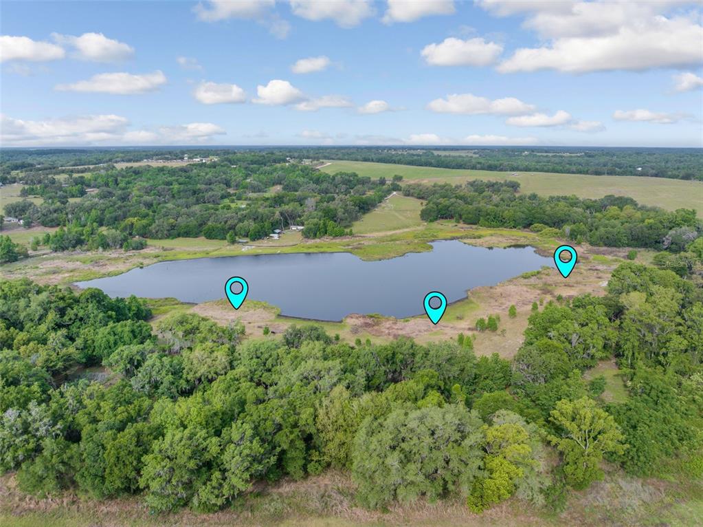 An aerial view shows a pond surrounded by trees and open fields with three location markers — 0 19-24-21-0000-00600-0010, DADE CITY, FL