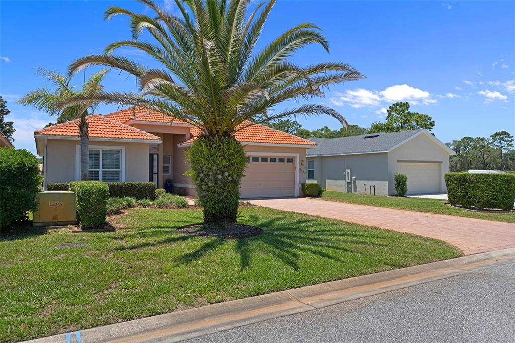 A single-story house with a tile roof, a palm tree, and a paved driveway — 8984 WADE STREET, WEEKI WACHEE, FL