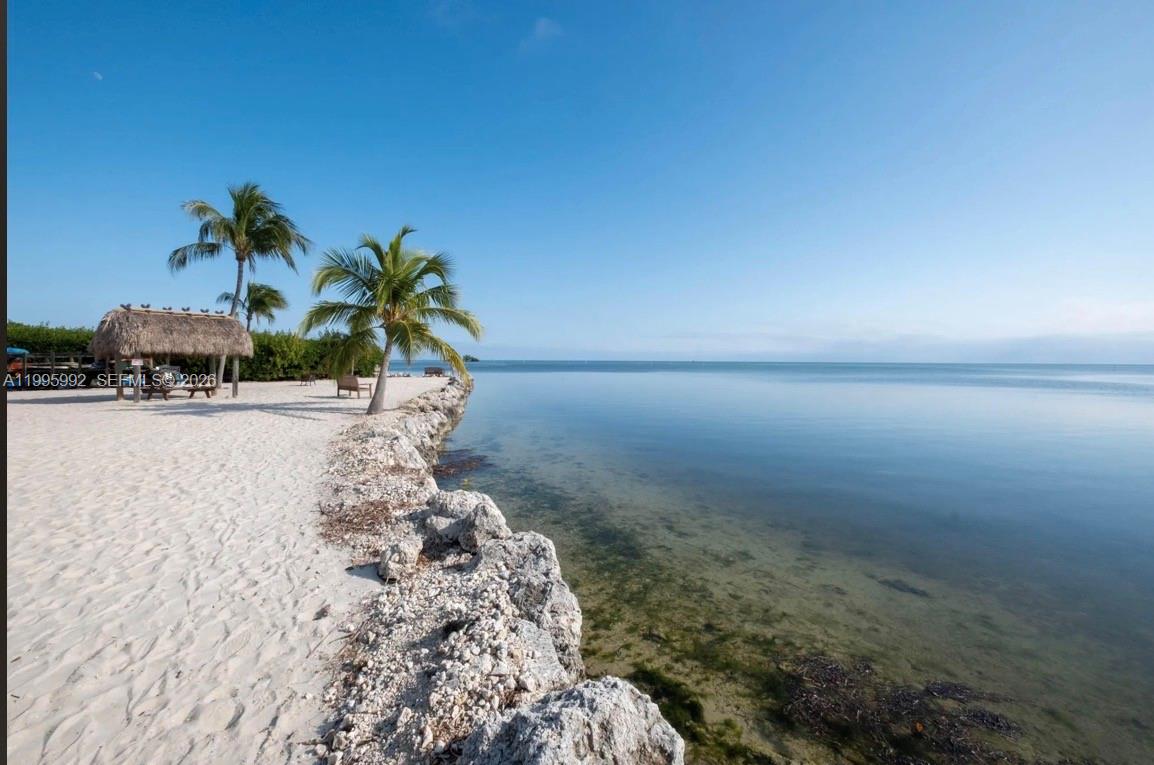 A sandy beach with palm trees and a thatched-roof structure borders a calm ocean — 200 Wrenn # 502, Plantation Key FL 33070, PLANTATION KEY, FL