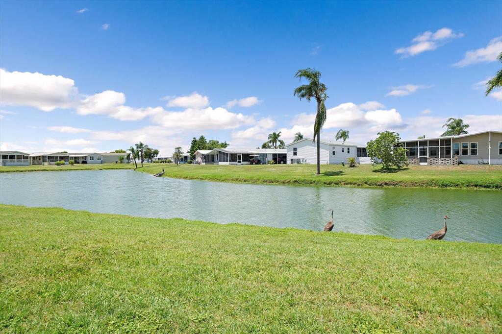 A grassy lawn overlooks a pond with two birds and several manufactured homes in the background — 8102 MARIE LANE, ELLENTON, FL