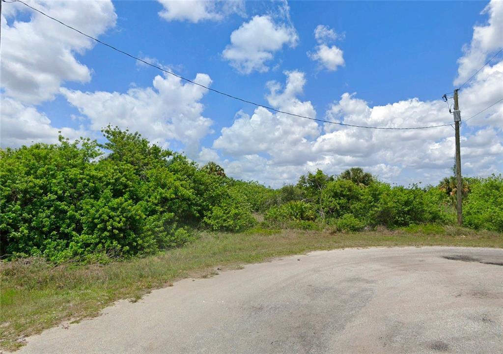 A paved cul-de-sac borders a dense, overgrown lot under a bright, cloudy sky — 8308 LENA COURT, LABELLE, FL