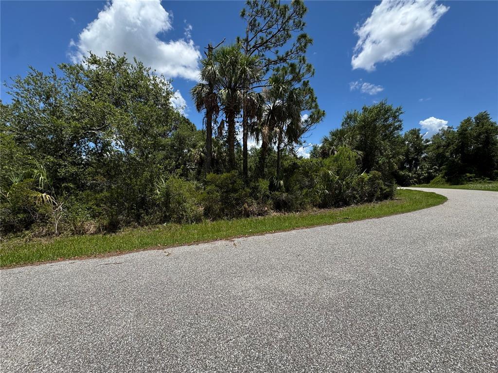 A paved road curves past a wooded lot with palm trees and dense vegetation — 3266 GABOR STREET, PORT CHARLOTTE, FL