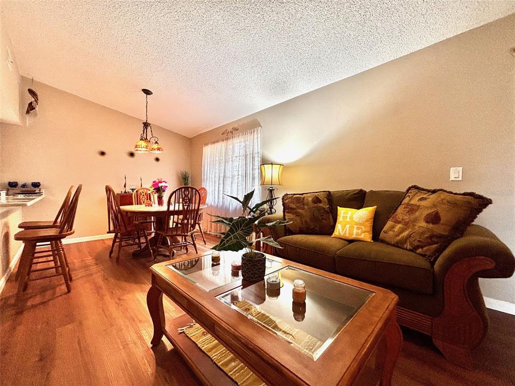 A living and dining area features wood-look flooring, a glass-top coffee table, and a sofa — 8034 BADGER LANE, NEW PORT RICHEY, FL