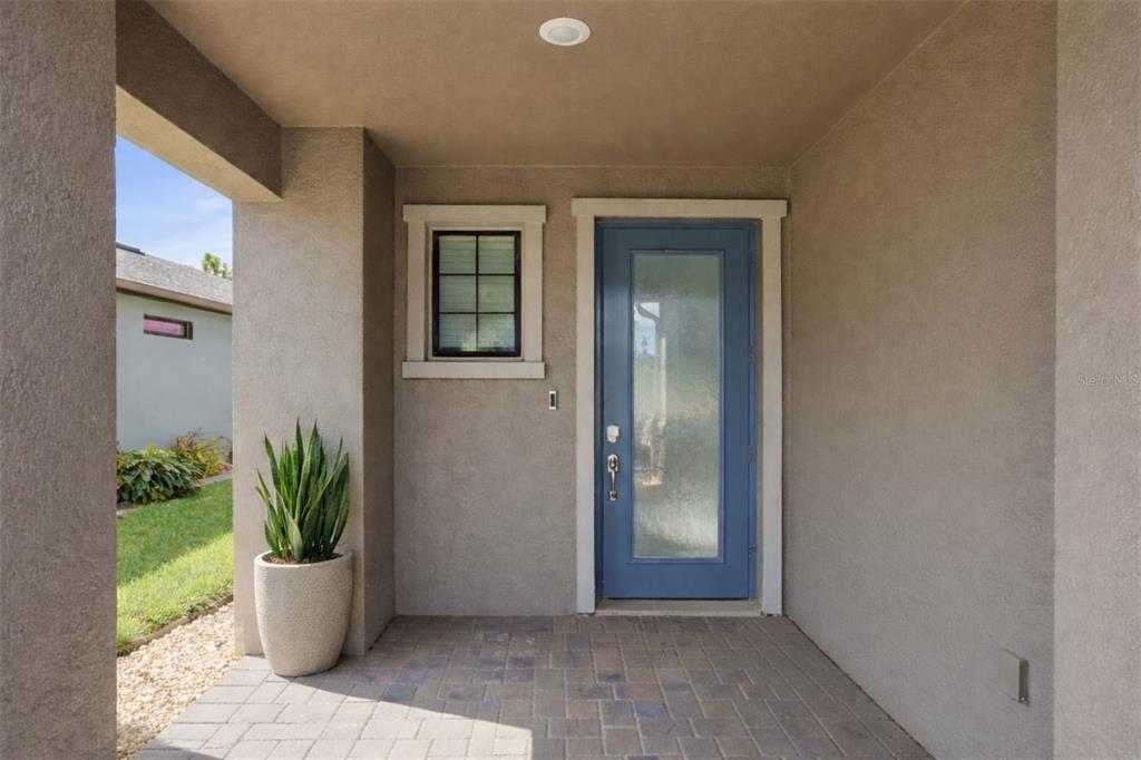 A covered entryway features a blue glass-paneled front door, a small window, and a potted plant — 4547 SAN MARTINO DRIVE, WESLEY CHAPEL, FL