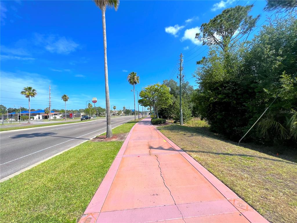 A paved pink sidewalk runs alongside a road lined with palm trees and green vegetation — W IRLO BRONSON MEMORIAL HIGHWAY, KISSIMMEE, FL