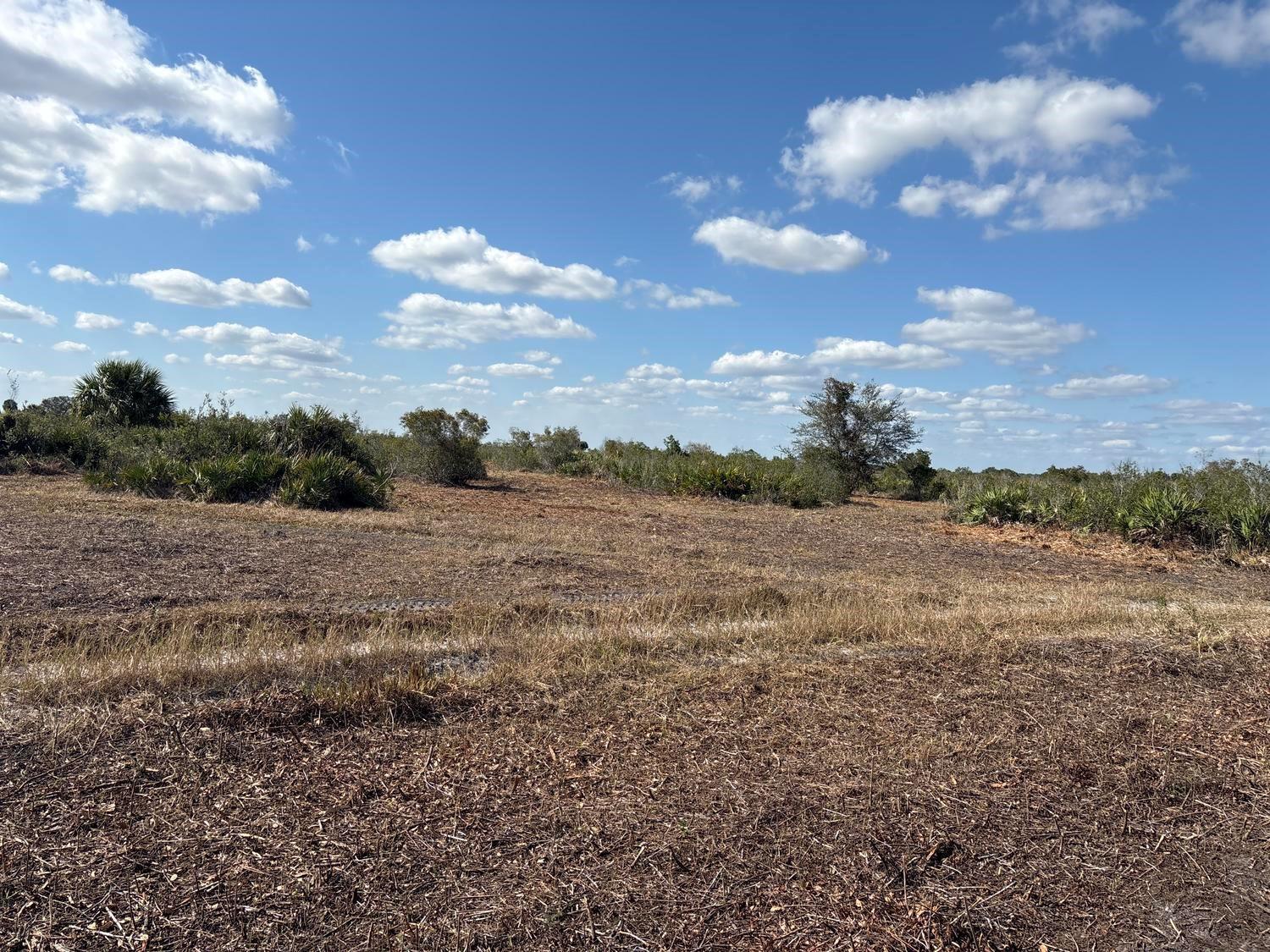 A cleared, flat, grassy field with scattered shrubs and trees under a blue, cloudy sky — 0 NW 316th Street, Okeechobee FL 34972, OKEECHOBEE, FL