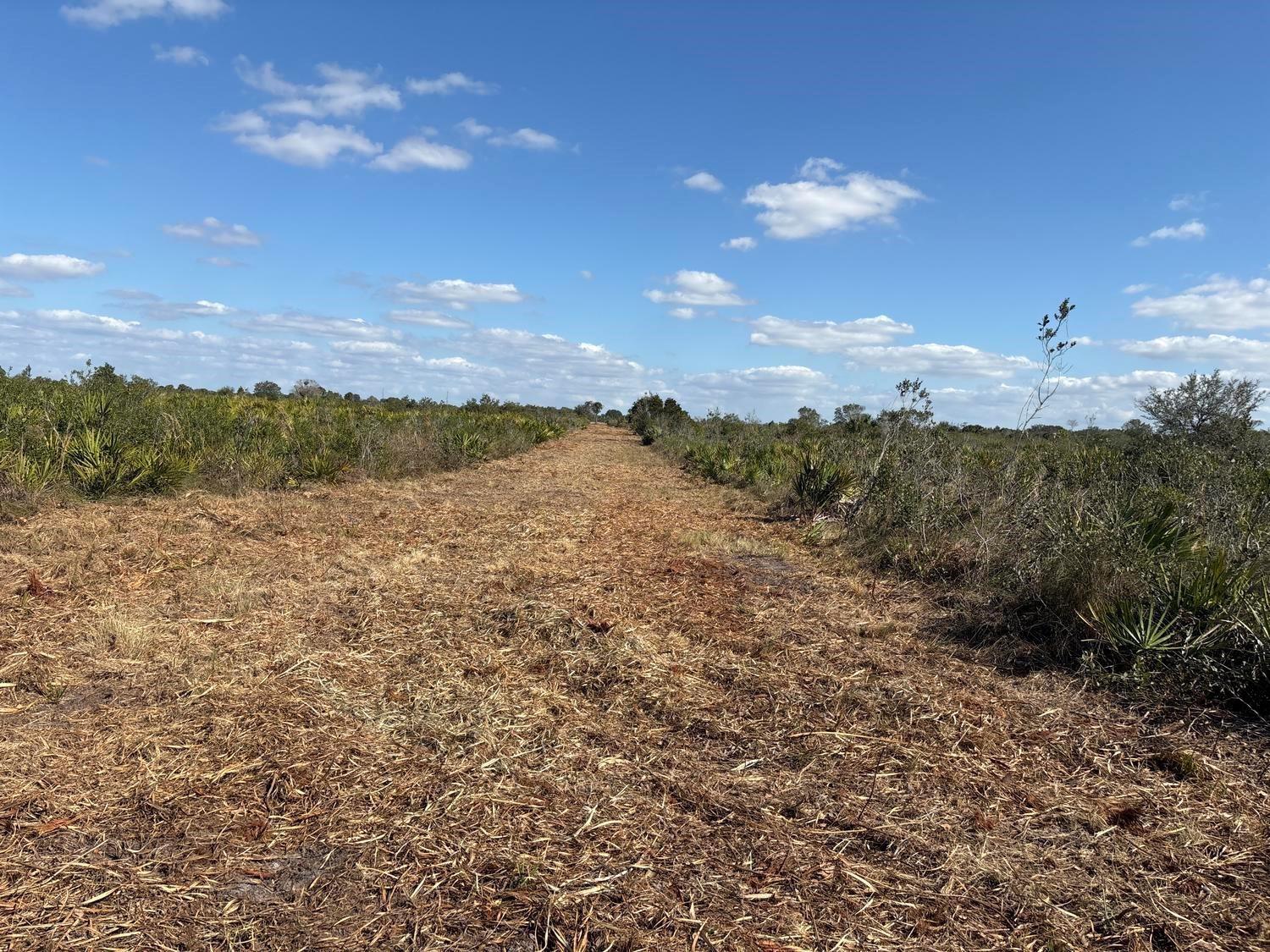 A cleared dirt path cuts through a grassy, shrub-filled field under a blue sky — 0 NW 316th Street, Okeechobee FL 34972, OKEECHOBEE, FL