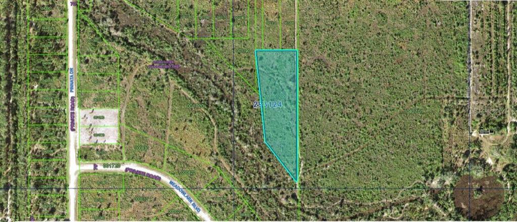 This is an aerial map showing a highlighted parcel of land surrounded by undeveloped vegetation — ALTHEA DRIVE, INDIAN LAKE ESTATES, FL