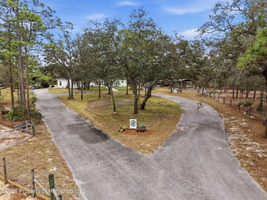 A paved driveway forks in front of a house surrounded by trees and fencing — 12124 SQUEEZE AVENUE, BROOKSVILLE, FL
