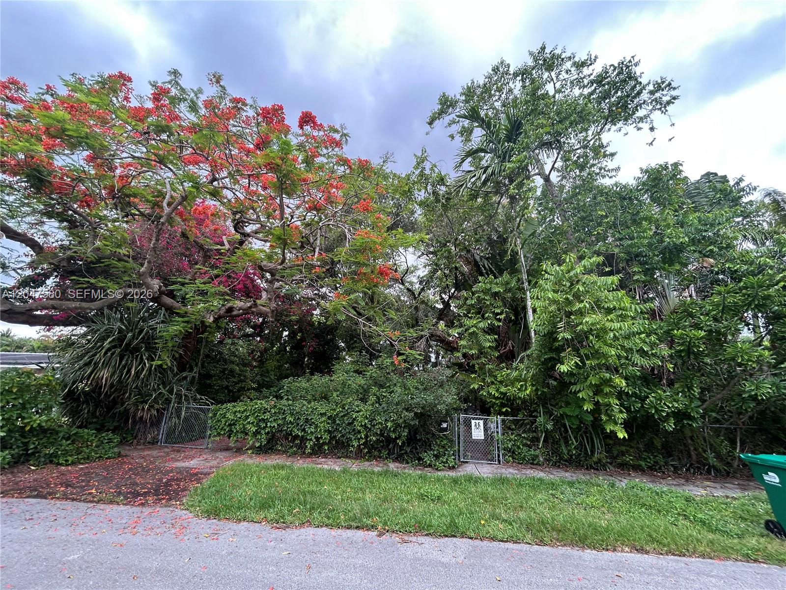 A dense, overgrown lot features a large flowering tree and two small chain-link gates — 8285 SW 47th St, Miami FL 33155, MIAMI, FL