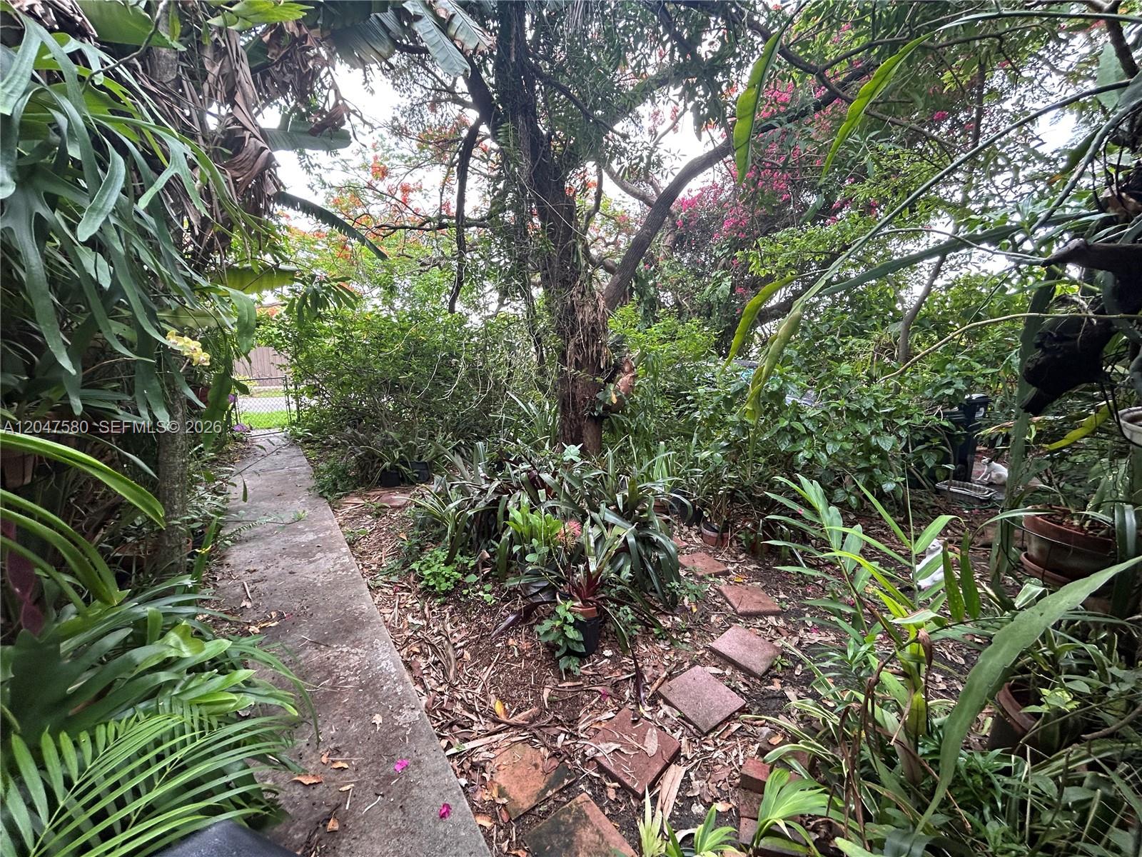A concrete walkway leads through a lush, overgrown garden with various tropical plants and trees — 8285 SW 47th St, Miami FL 33155, MIAMI, FL