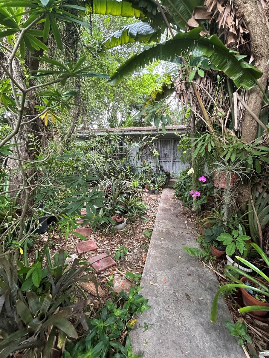 A concrete walkway leads through a lush, overgrown garden toward a small, weathered building — 8285 SW 47th St, Miami FL 33155, MIAMI, FL