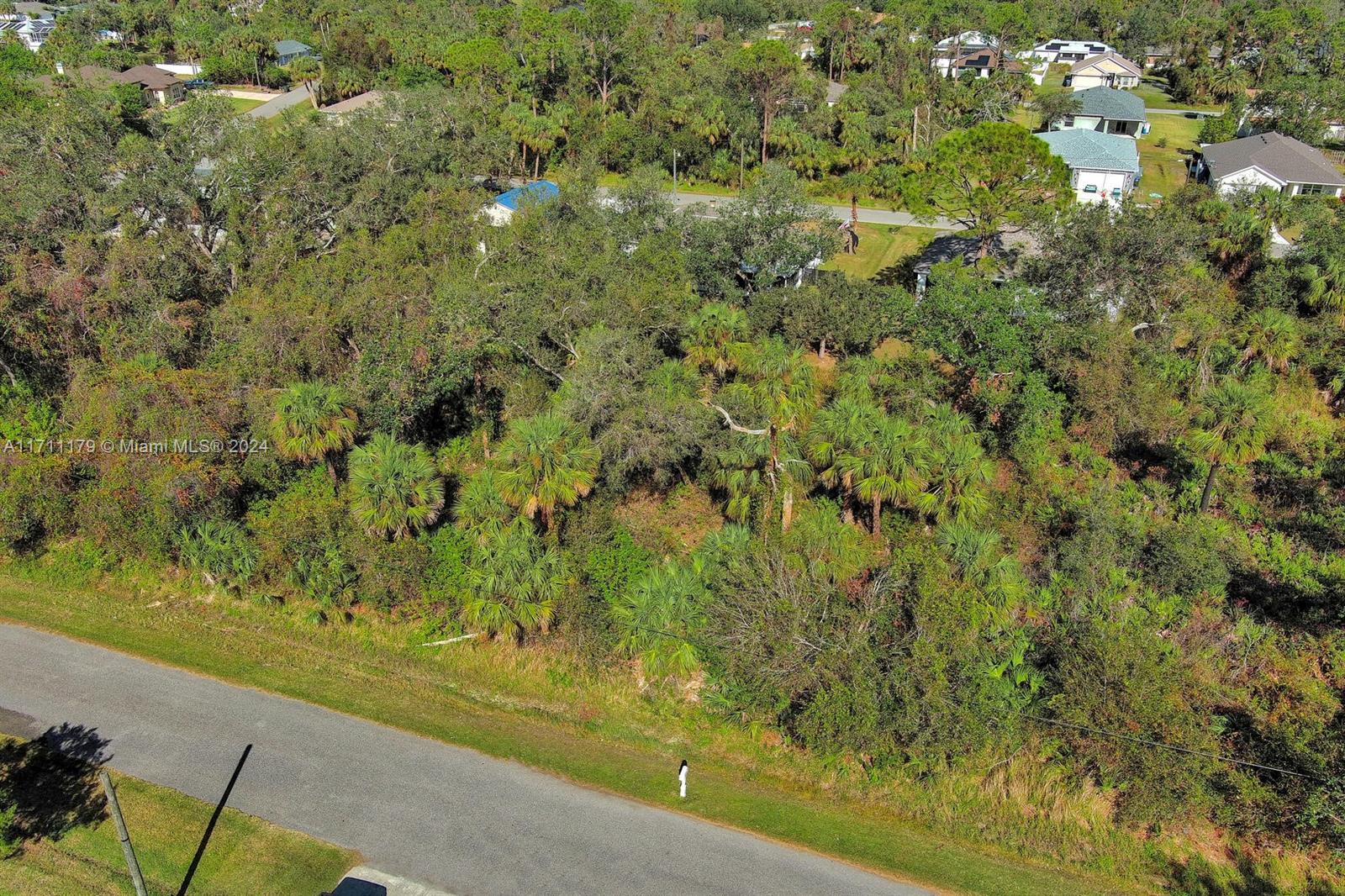 An aerial view shows a wooded, undeveloped residential lot bordered by a paved road — #1 Sargon Ave, North Port FL 34287, NORTH PORT, FL