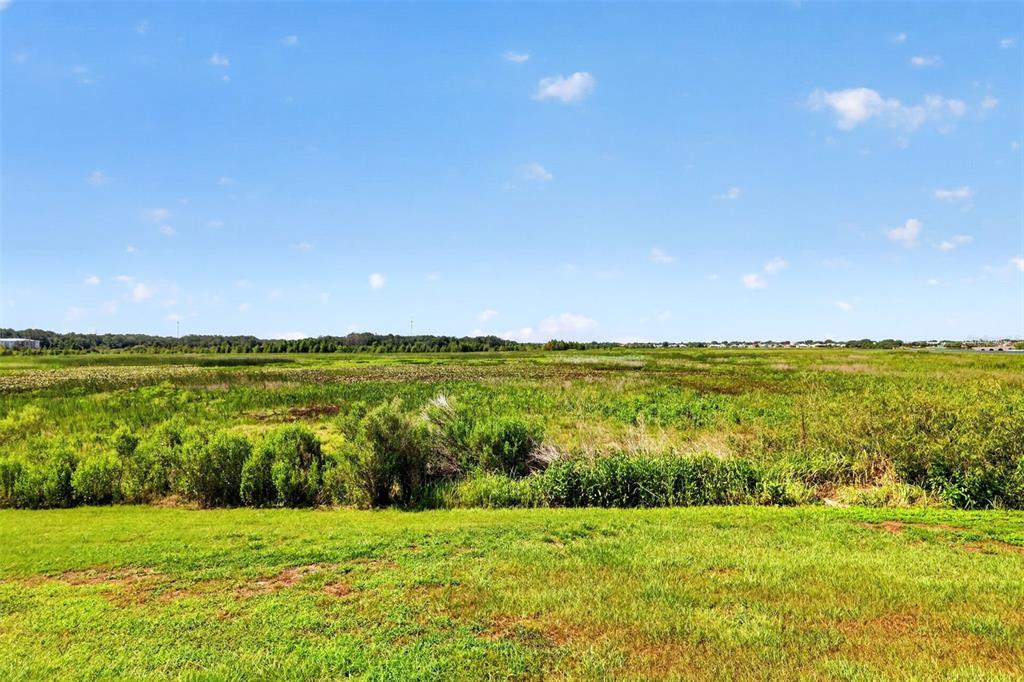 A wide, grassy field stretches toward a distant tree line under a bright blue sky — 562 AVECILLA DRIVE, THE VILLAGES, FL